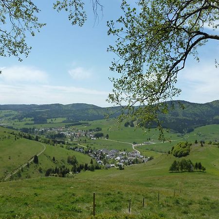 Wohnpark Schwarzwaldblick Bernau Apartman Kültér fotó